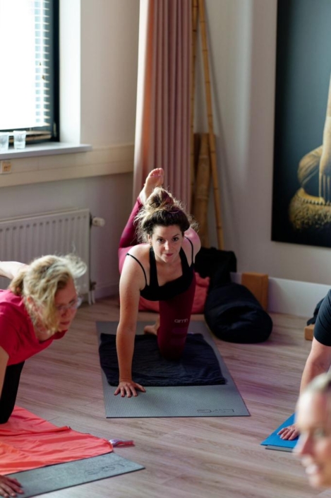 8d7409c4-4b65-49fd-8520-ed888ff99150